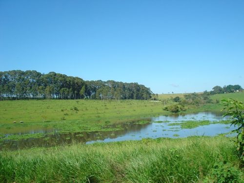 Viagem e Lazer 2010 - Águas de São Pedro, dia 5 de fevereiro