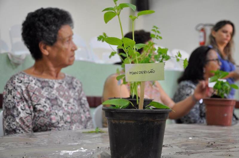 Oficina de Jardinagem