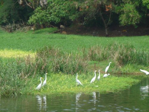 Sindicato, devido ao sucesso repete passeio a Barra Bonita