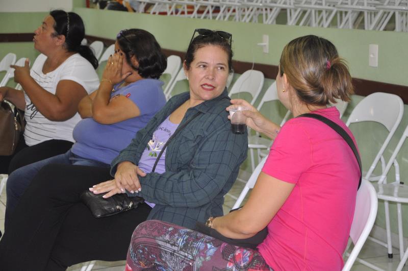 Plenária Professores TJEs