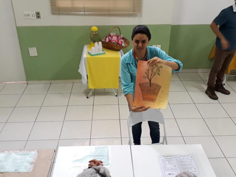 Aposentados/as plantam suculentas em Ateliê de Jardinagem; atividade resgata a Paz