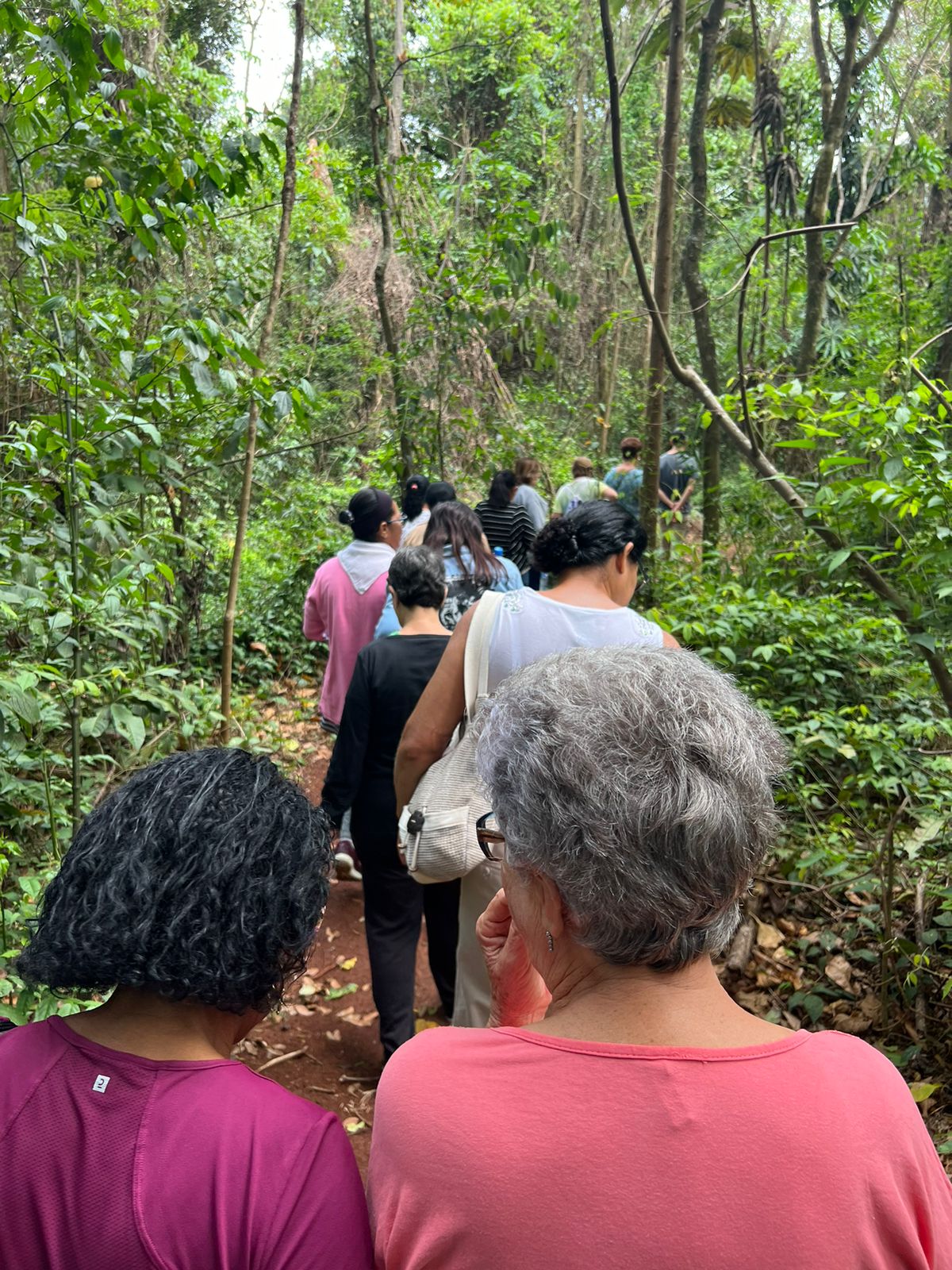 Casa dos Aposentados/as - Caminhada na Mata Santa Genebra - Setembro de 2023