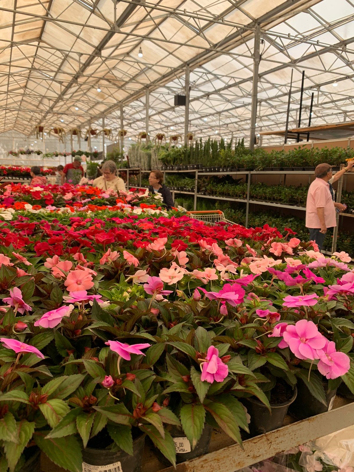 Casa dos Aposentados/as - Passeio do Mês na Festa das Flores e Morangos de Atibaia - Setembro de 2024