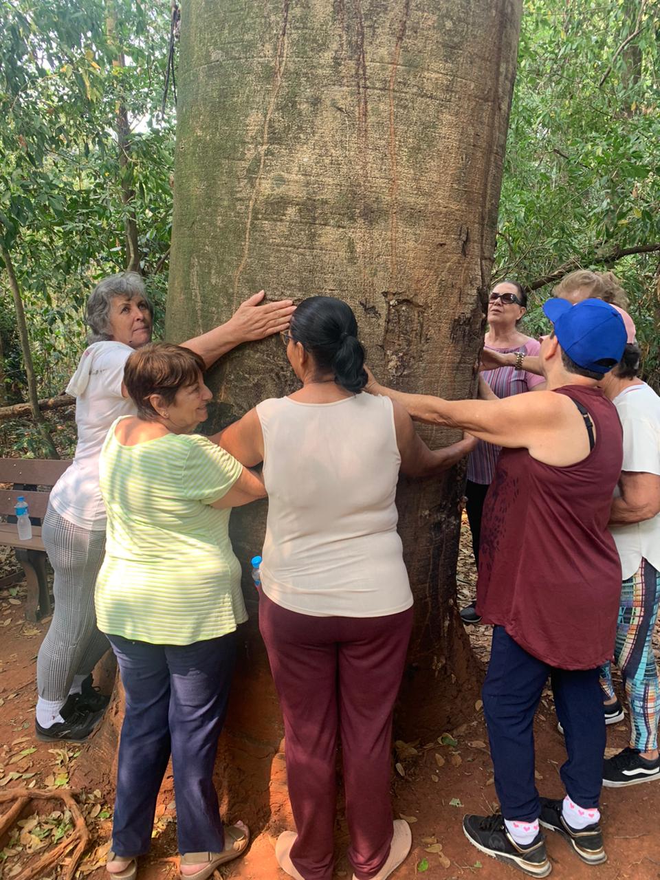 Casa dos Aposentados/as - Caminhada na Mata Santa Genebra - Setembro de 2024