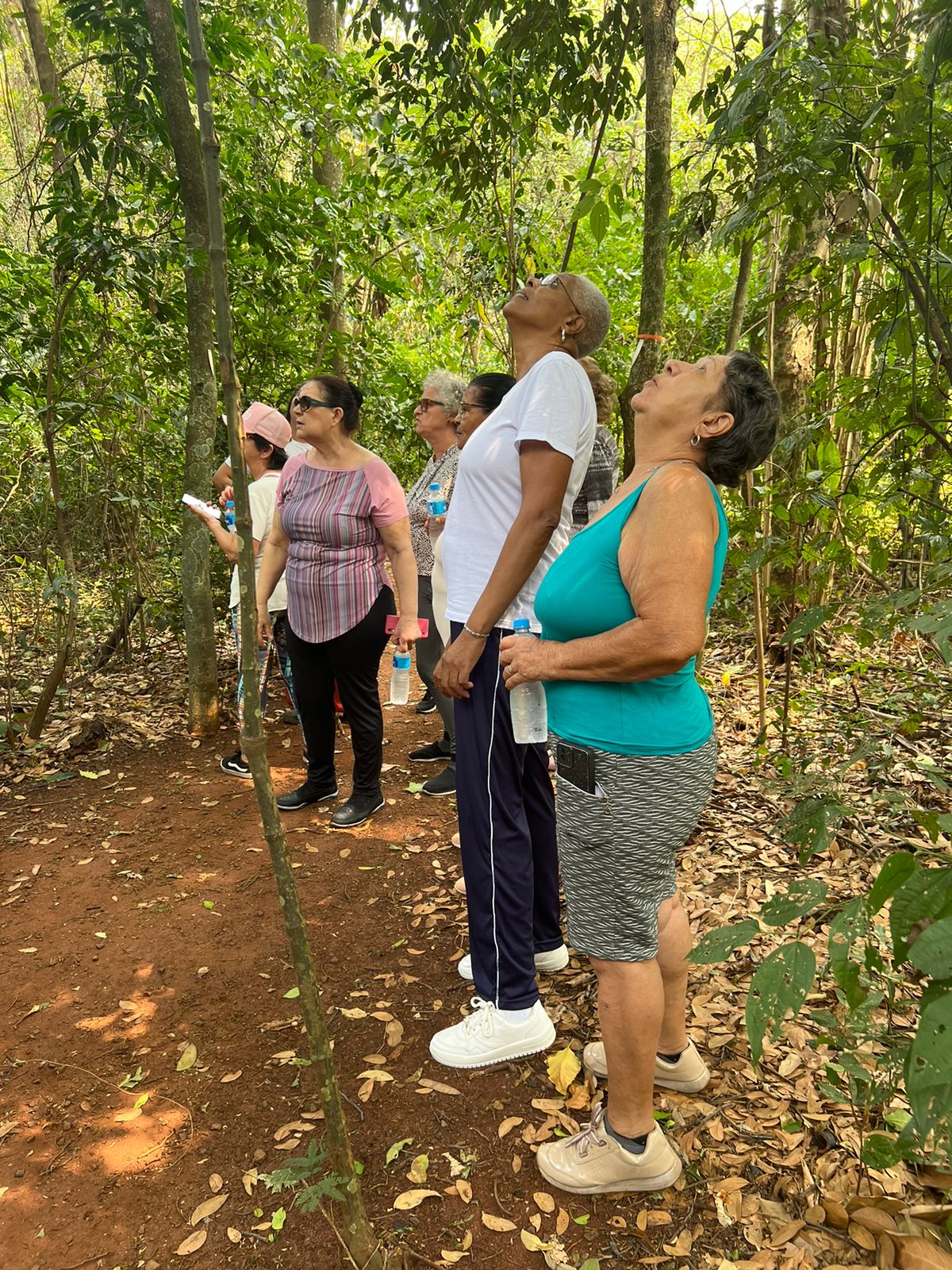 Casa dos Aposentados/as - Caminhada na Mata Santa Genebra - Setembro de 2024