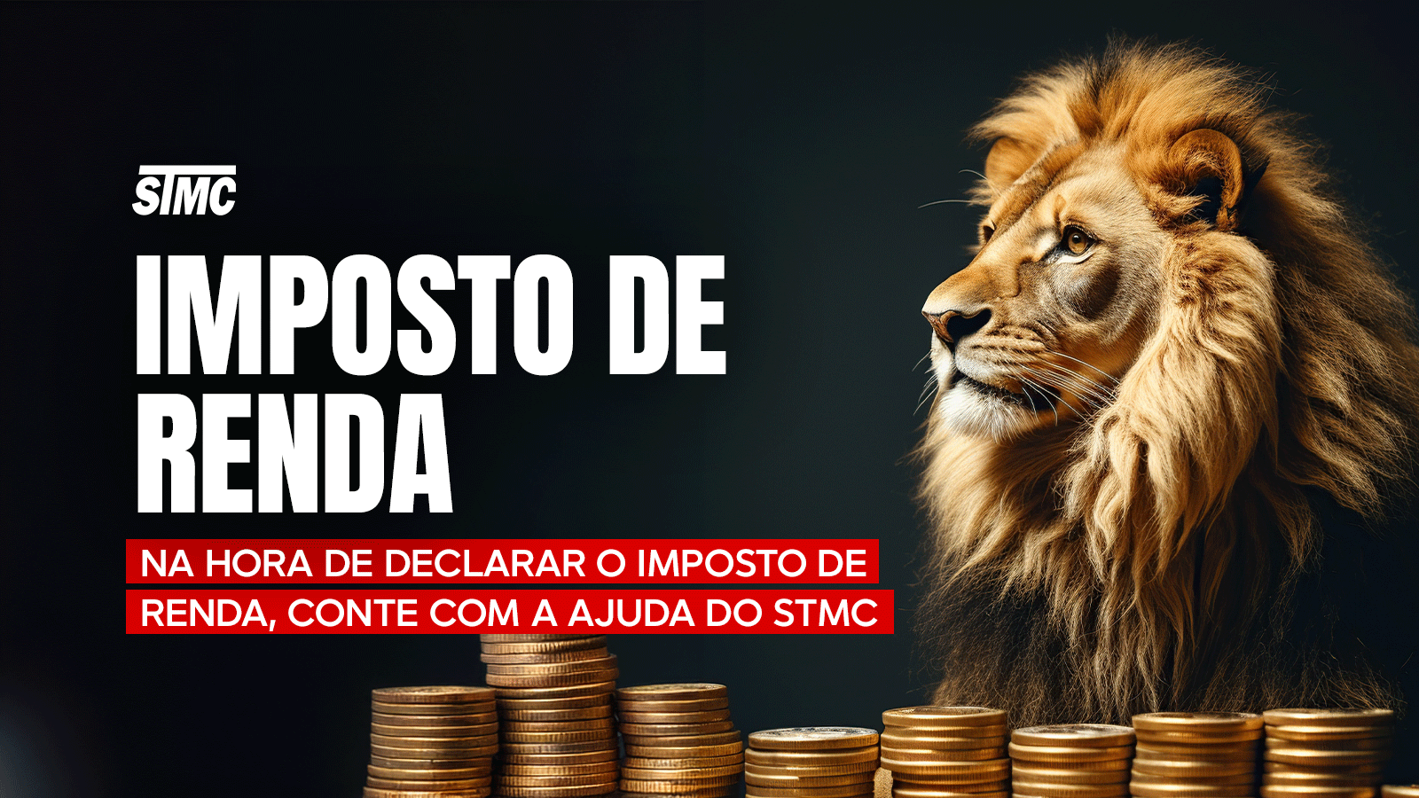 Sindicato dos Servidores faz o seu Imposto de Renda